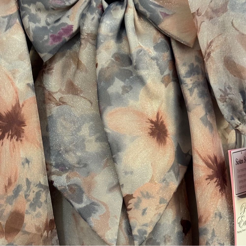NWT Rare Editions Baby Girl Floral Dress Bubble Sleeve Puffy Skirt & Bow - Picture 5 of 14